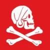 Henry Every Pirate Flag