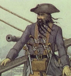 Black Beard Harness System -Rico Shop Capture