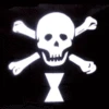 Emanuel Wynne Pirate Flag