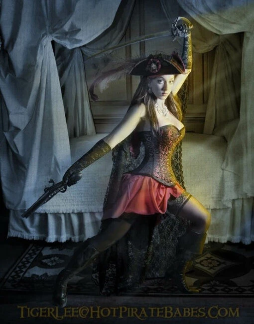 Pirate Wench Corset - Image 6