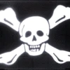 Richard Worley Pirate Flag