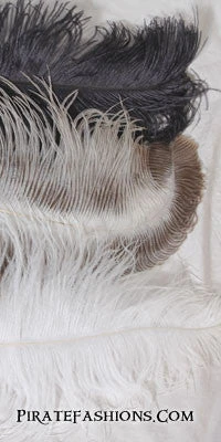 Large Ostrich Feathers