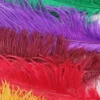 Medium Ostrich Feathers
