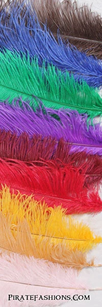 Medium Ostrich Feathers