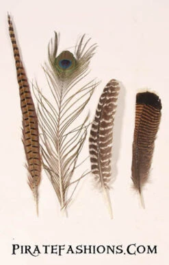 Misc Feathers