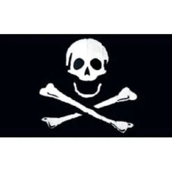 Jolly Roger Pirate Flag